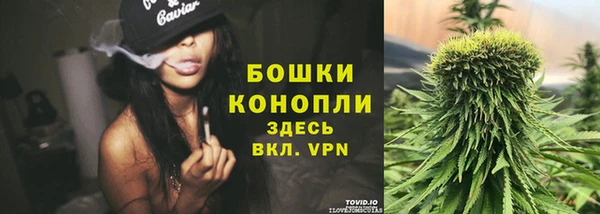ALPHA PVP Богородск