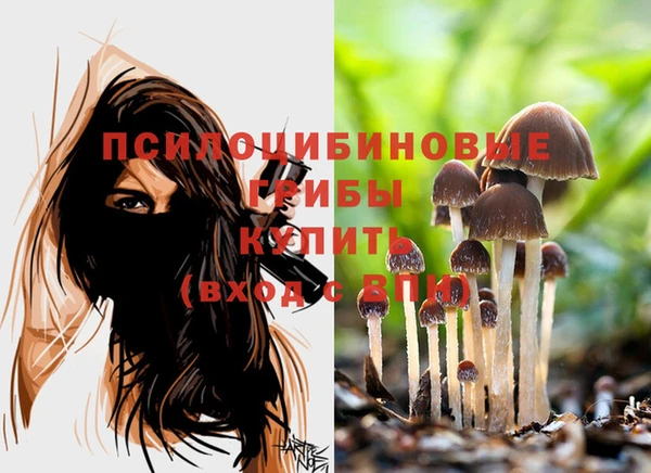 дживик Богданович