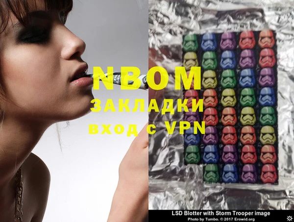 прущие грибы Бронницы