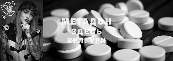 прущие грибы Бронницы