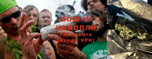 прущие грибы Бронницы